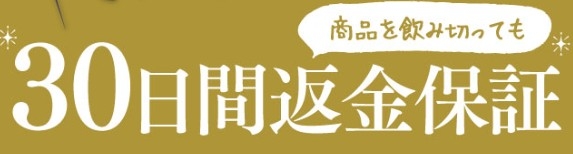 説明文